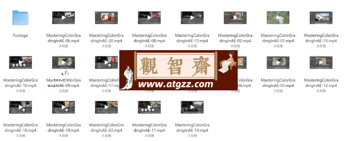 AE剪辑调色大师班（中文字幕）-观智斋电商课程站
