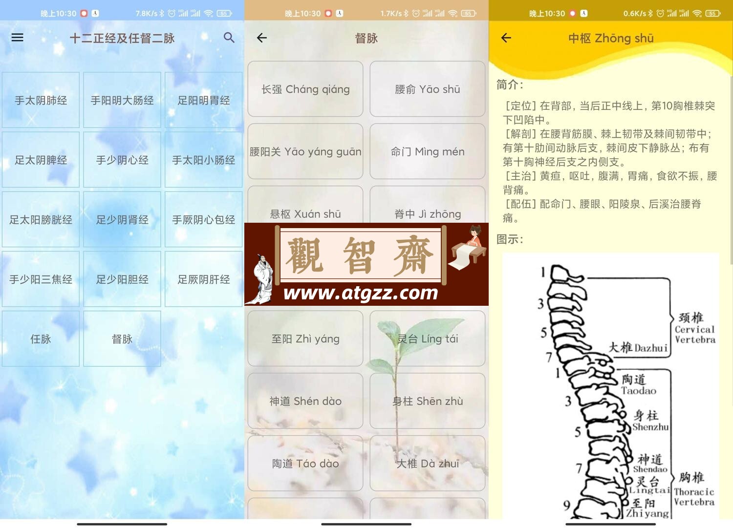 人体穴位图解v3.1.4可离线版-观智斋电商课程站