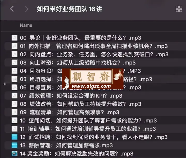 如何带好业务团队16讲-观智斋电商课程站
