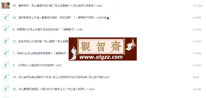 构建高效引流转化团队：打造系统化杀手锏-观智斋电商课程站