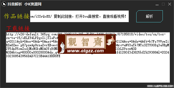 抖音解析去水印下载工具v1.0 长期版本-观智斋电商课程站