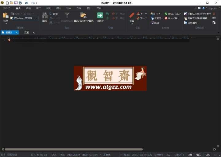 IDM UltraEdit v31.0.0.35绿色版 专业文本编辑/十六进制编辑器-观智斋电商课程站