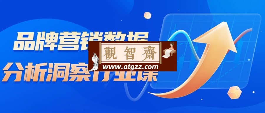 品牌营销数据分析洞察行业课-观智斋电商课程站