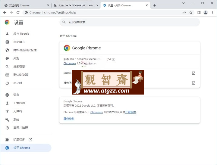 Google Chrome 谷歌浏览器v121.0.6167.185 增强版-观智斋电商课程站