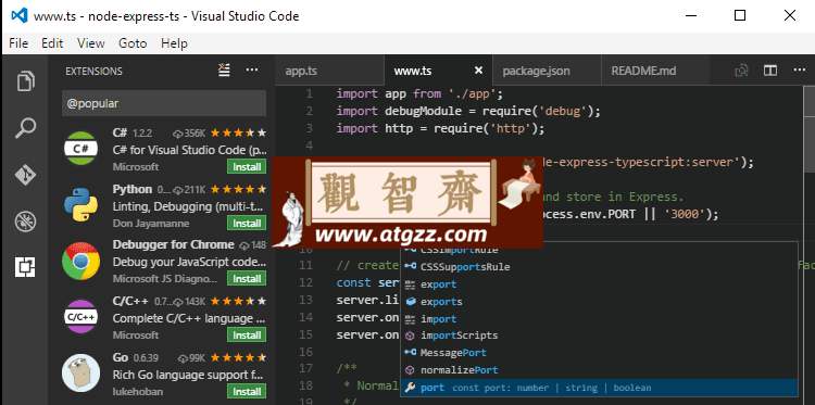 Visual Studio Code 微软代码编辑器v1.92.0-观智斋电商课程站