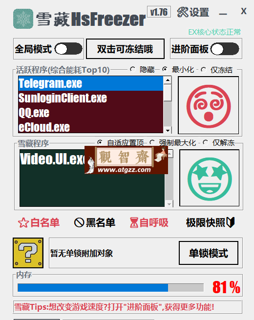 雪藏 HsFreezer v2.10 游戏冻结软件-观智斋电商课程站