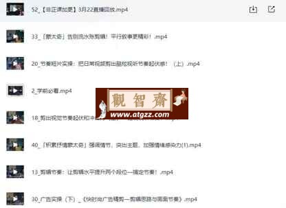 剪辑师实战课程：掌握剪辑艺术，提升创作技能-观智斋电商课程站