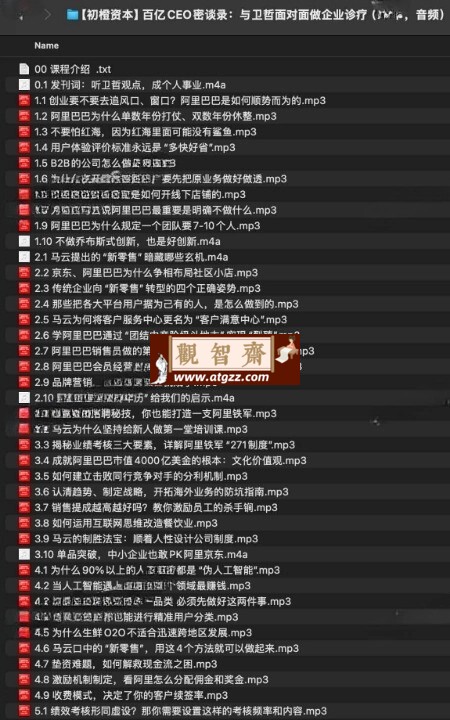 百亿CEO密谈录：与卫哲面对面做企业诊疗-观智斋电商课程站