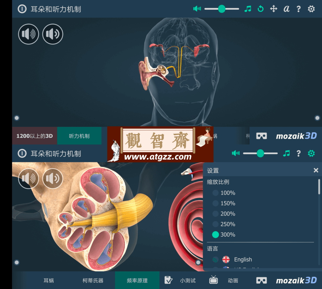 The mechanism of hearing educational VR 3D 人体耳朵v1.27-观智斋电商课程站