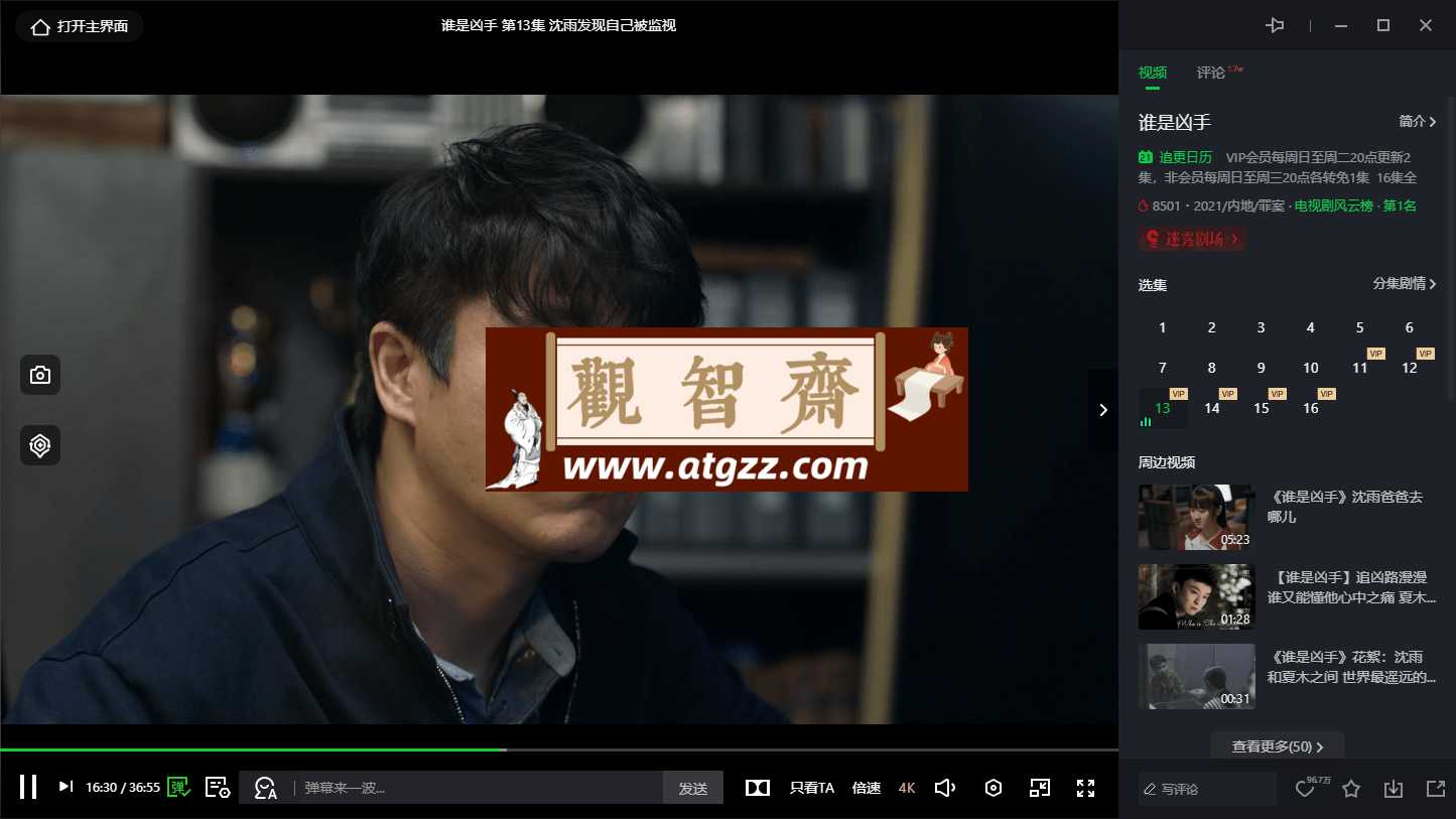 PC 爱奇艺 v12.1.5.7769 绿色版