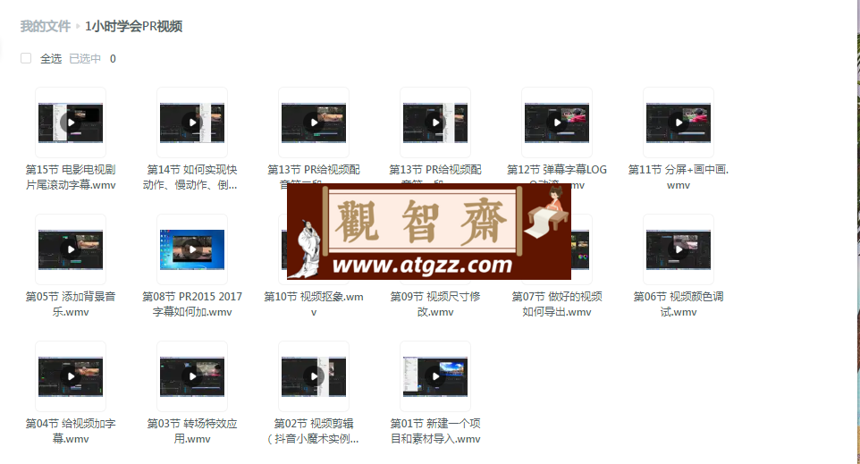 一小时学会PR视频剪辑-观智斋电商课程站