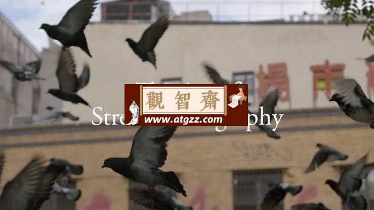 The Art of Street Photography 街头摄影艺术课程-观智斋电商课程站