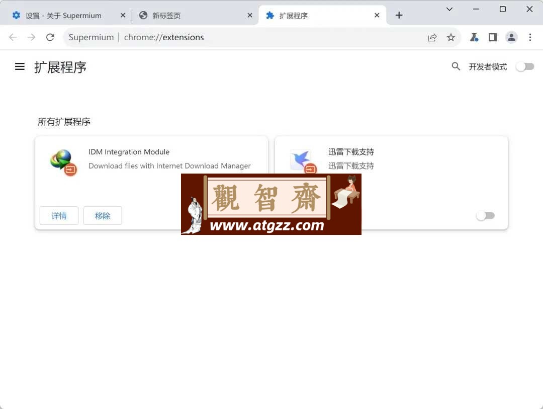 Supermium浏览器v122.0.6261.85便携版-观智斋电商课程站