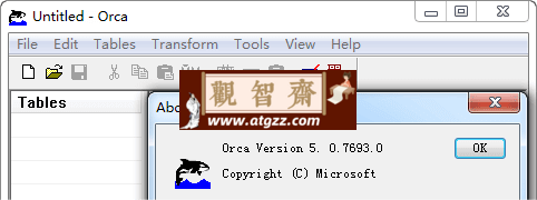 Orca 微软 MSI 安装包编辑工具v5.0-观智斋电商课程站