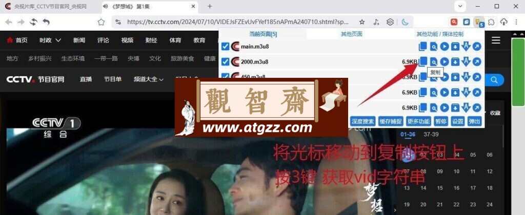 央视视频下载器v4.0 绿色版-观智斋电商课程站