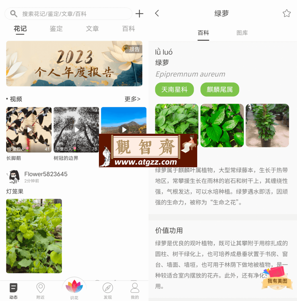 花伴侣v3.2.16-观智斋电商课程站