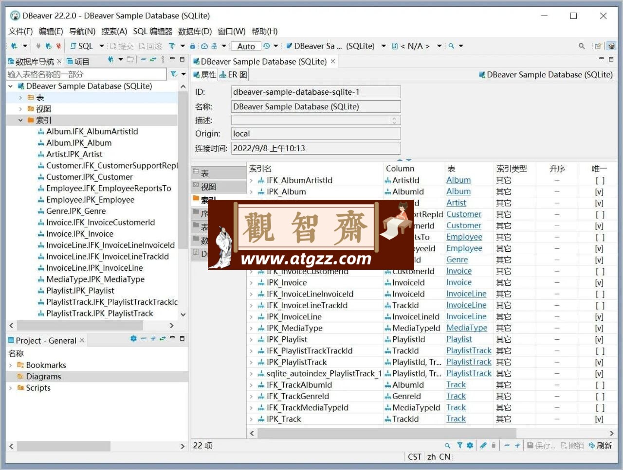 Dbeaver community数据库管理v24.1.4 绿色版-观智斋电商课程站