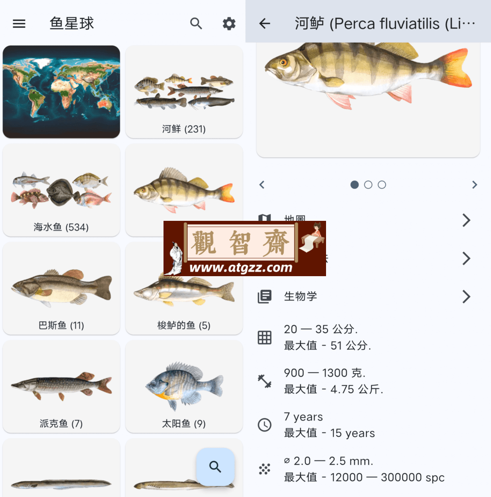 鱼星球v9.29 钓鱼指南-观智斋电商课程站