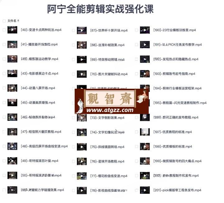 阿宁全能剪辑实战强化课：零基础到进阶剪辑-观智斋电商课程站