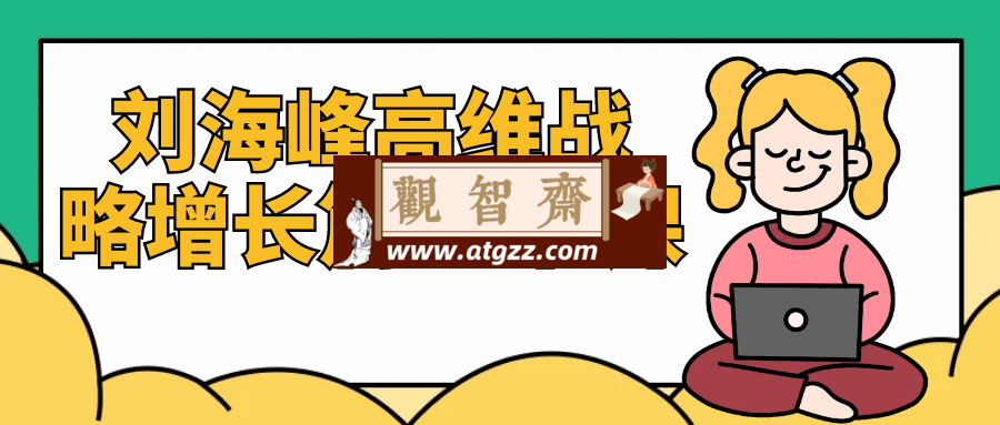 刘海峰高维战略增长篇10节课-观智斋电商课程站