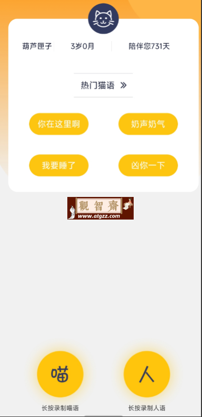 猫语翻译器v1.0 通过人工智能技术将人类语言转换成猫语-观智斋电商课程站