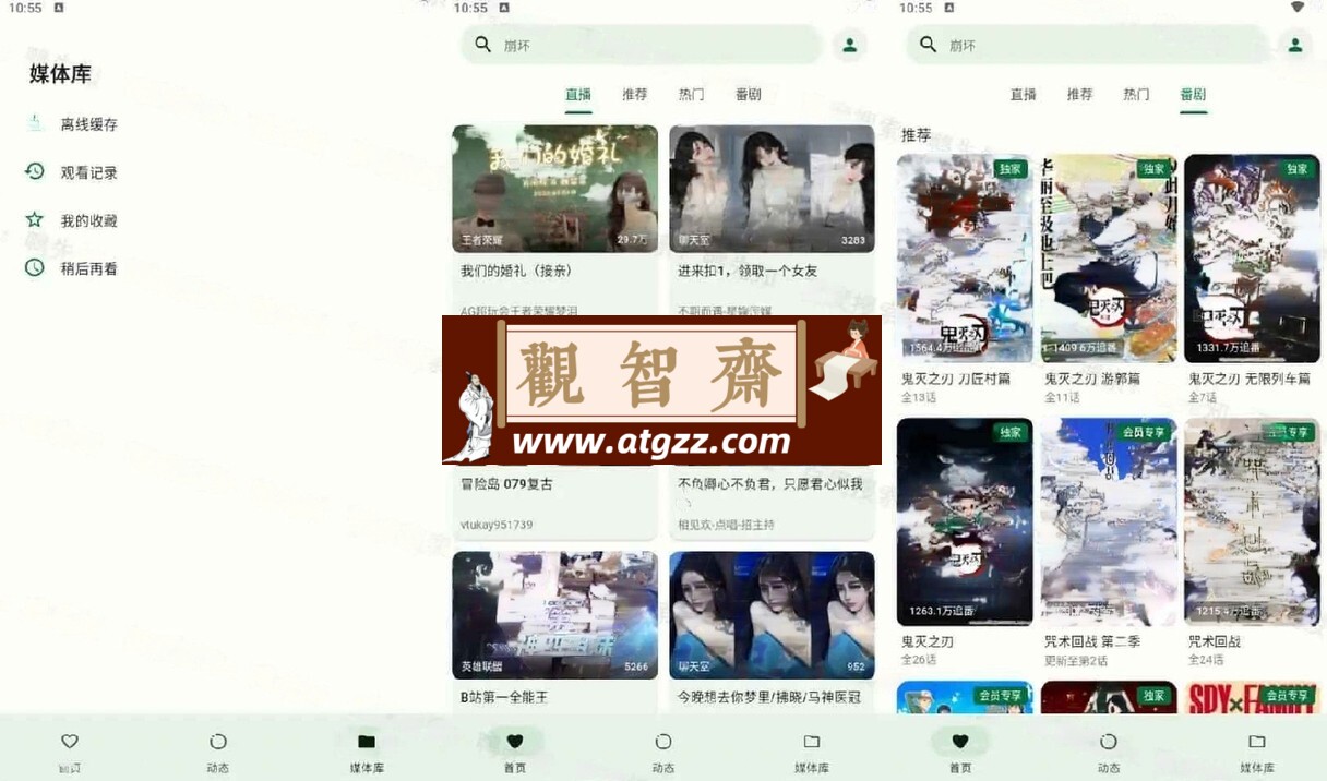 PiliPala v1.0.17 B站第三方客户端，播放界面功能齐全，支持弹幕、画质调整等-观智斋电商课程站