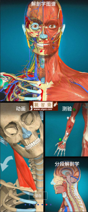 Anatomy Learning v2.1.392 3D 解剖学