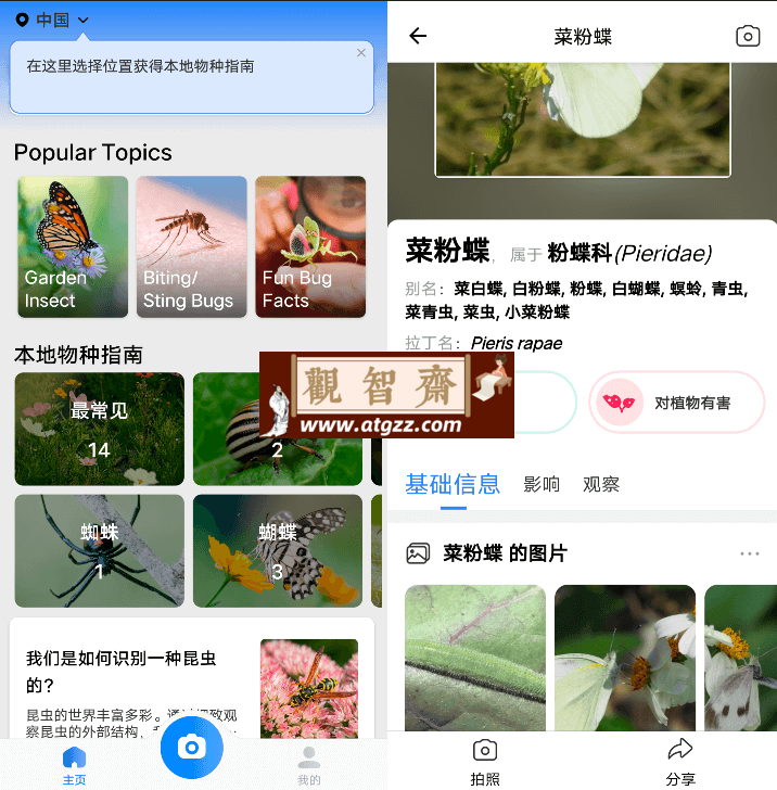 Picture Insect 昆虫识别器v2.8.32-观智斋电商课程站