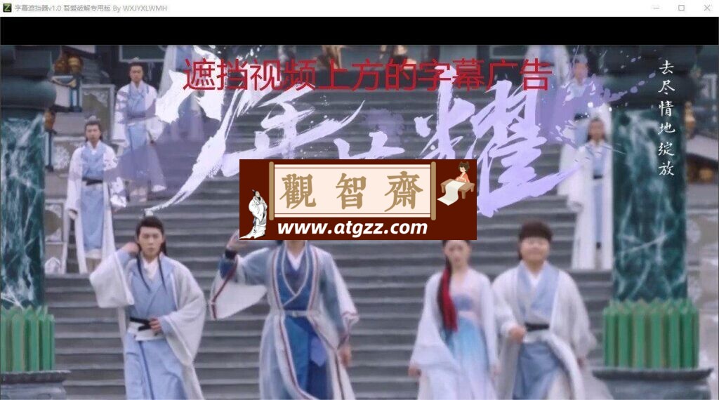 字幕遮挡器v1.0 绿色便携版-观智斋电商课程站