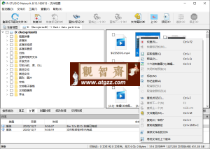 数据恢复 R -Studio v9.3.191268 便携版