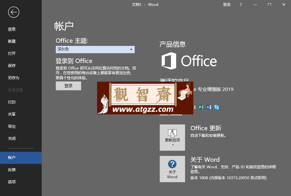 微软Office 2019 25年1月授权版-观智斋电商课程站