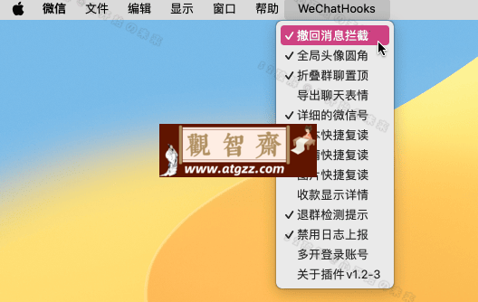 WeChatHooks v1.2.3 微信防撤回多开工具-观智斋电商课程站