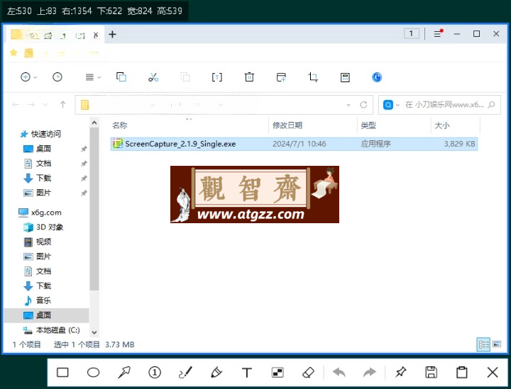 ScreenCapture v2.1.10单文件版-观智斋电商课程站
