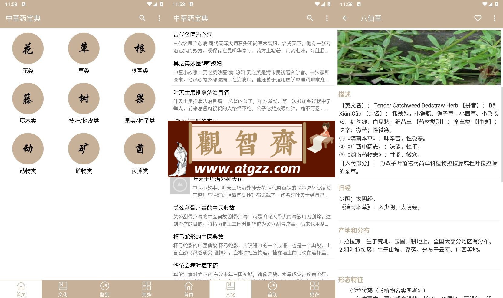 中草药宝典v2.5.10纯净版-观智斋电商课程站
