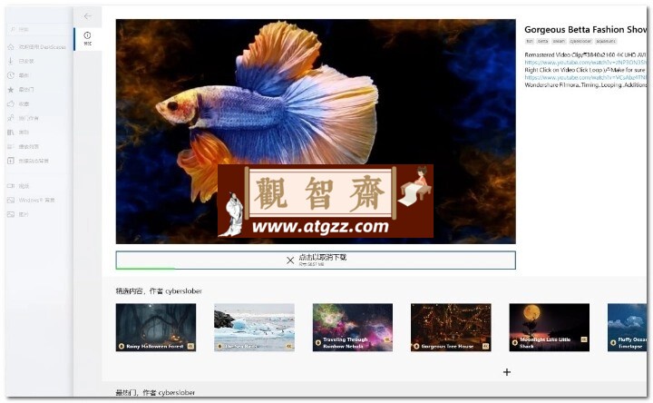 DeskScapes v11 酷炫的梦幻动态视频桌面特效美化软件-观智斋电商课程站