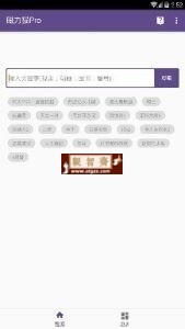 磁力猫 v2.6.0 去广告绿化版-观智斋电商课程站
