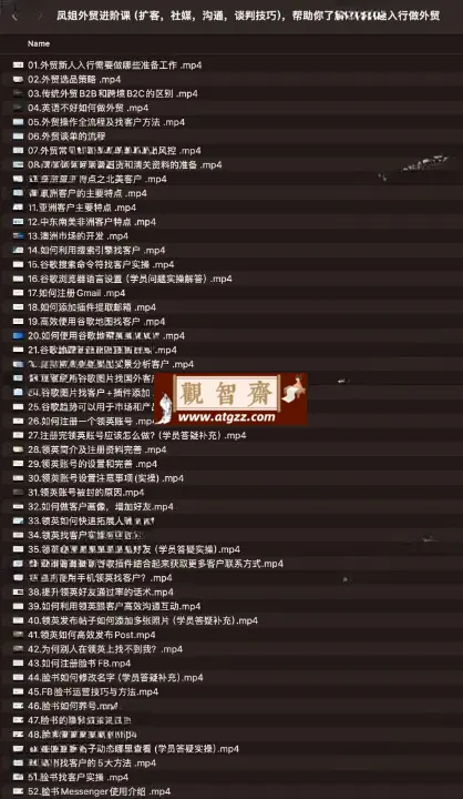 凤姐外贸进阶课：扩客，社媒，沟通，谈判技巧-观智斋电商课程站