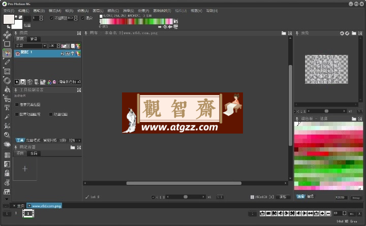 Pro Motion NG v8.0.10.0中文版 功能强大的像素绘图软件-观智斋电商课程站