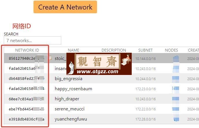 便携虚拟局域网远程桌面 v1.4
