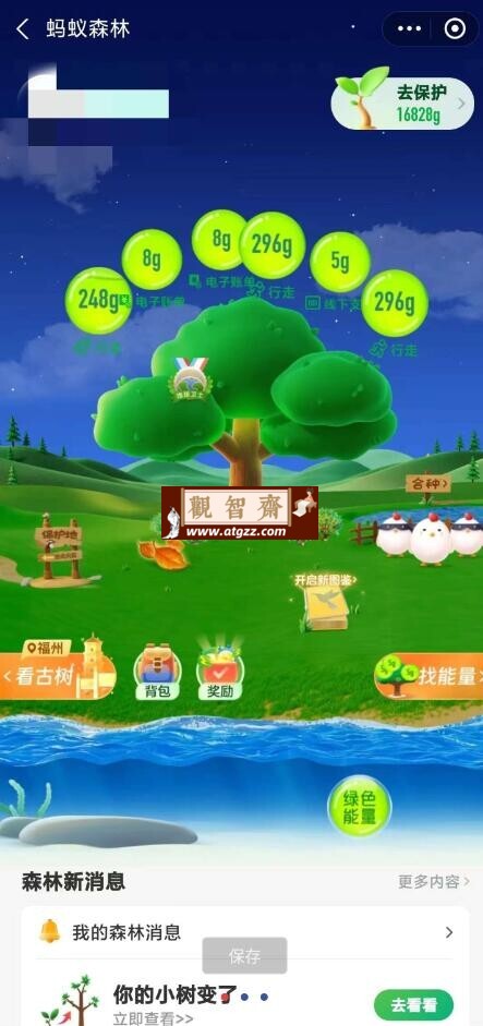 Life助手v1.3.4 拉支付宝满步行能量-观智斋电商课程站