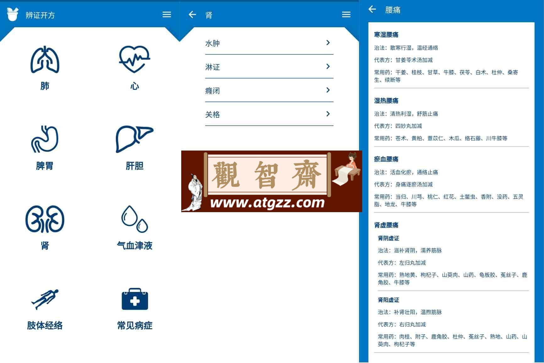 中医辨证开方v1.0.2 珍藏版 中医爱好者必备-观智斋电商课程站
