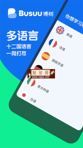 博树Busuu v31.10.2 安卓绿化版-观智斋电商课程站