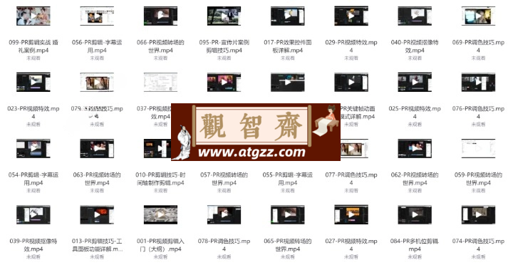 PR从零基础入门到视频剪辑大神教程（100集全）-观智斋电商课程站
