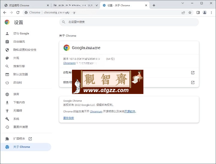 Google Chrome 谷歌浏览器 v130.0.6723.59增强版-观智斋电商课程站