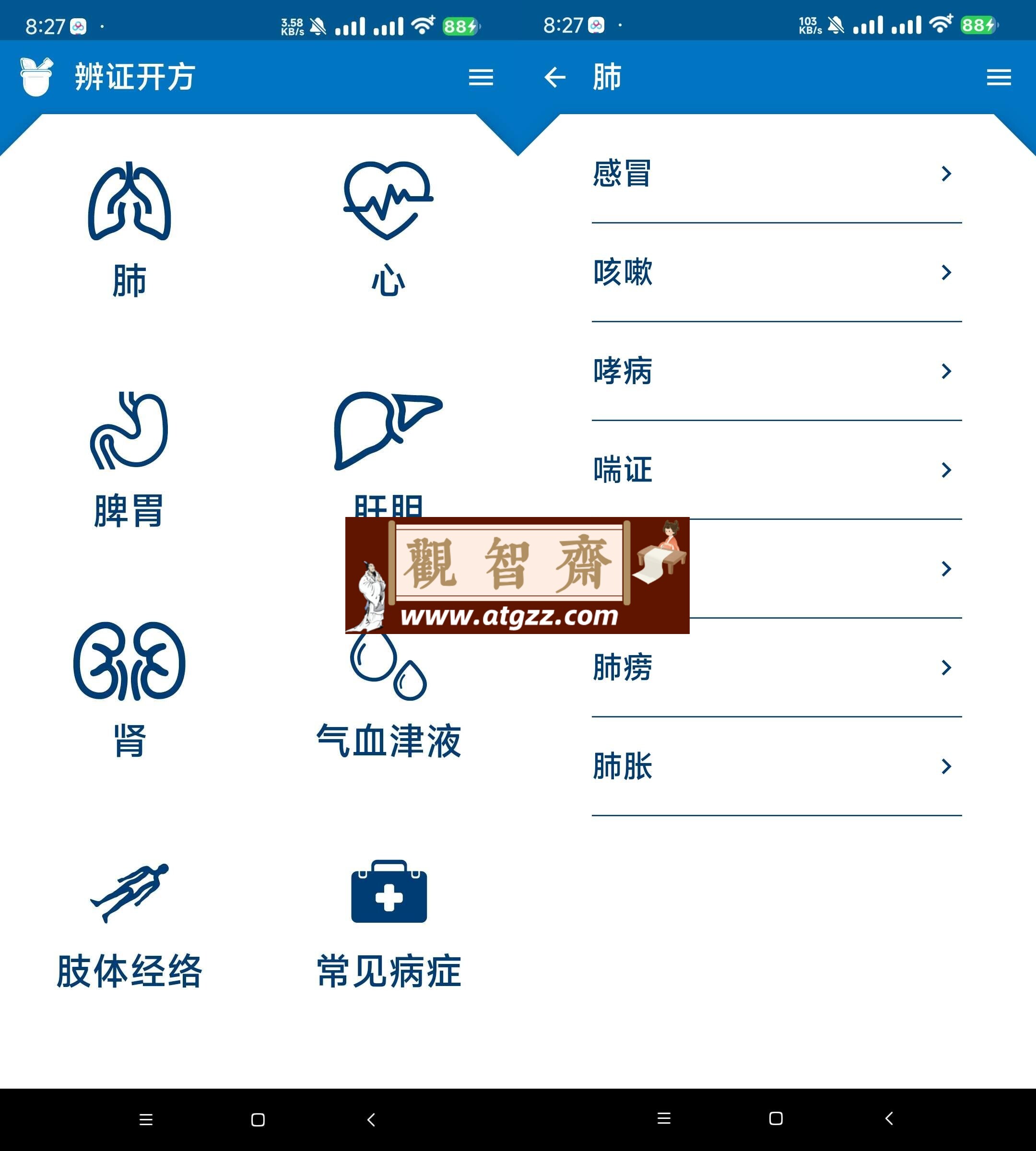 中医辩证开方v1.0 查询各个病症和治疗开方-观智斋电商课程站
