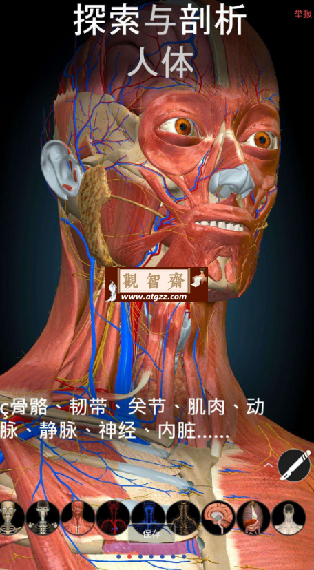 Anatomy Learning v2.1.392 3D解剖学-观智斋电商课程站