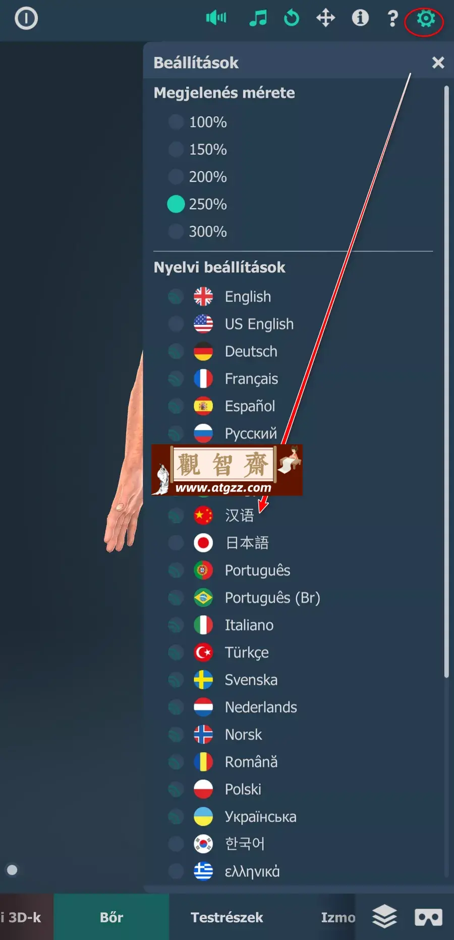 Human body (male) educational VR 3D v1.30 男性身体结构 支持VR-观智斋电商课程站