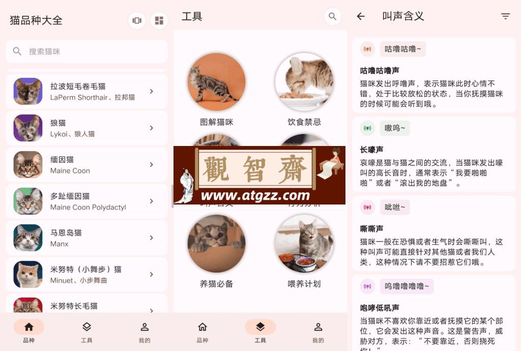 猫品种大全v1.0.6-观智斋电商课程站