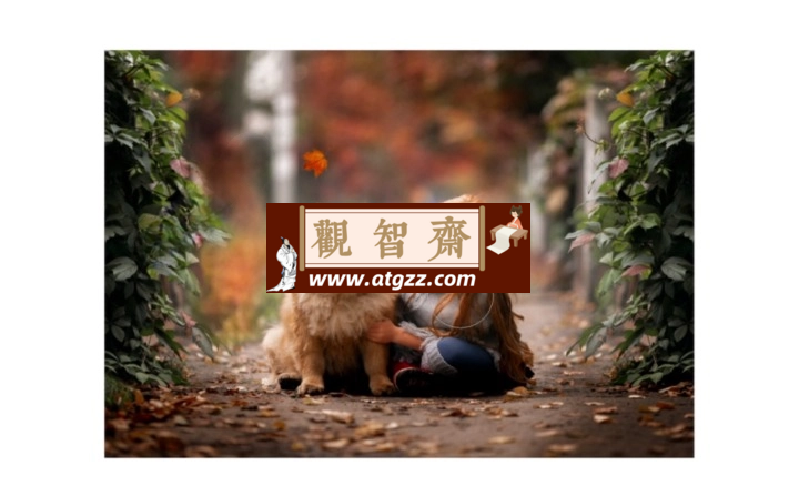 青山摄影课青山调色系统班第7期-观智斋电商课程站
