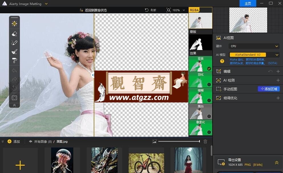 Digiarty AIArty Image Matting v2.0 一键AI抠图更换背景-观智斋电商课程站